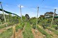 Property photo of 39 Mayday Road Batlow NSW 2730