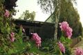 Property photo of 15 Lesalan Place Margaret River WA 6285
