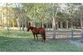 Property photo of 130 Sunnydene Road Chandler QLD 4155