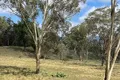 Property photo of 147 Crown Station Road Glen Davis NSW 2846