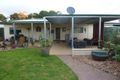 Property photo of 29 Thomas Street Minnipa SA 5654