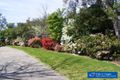 Property photo of 152 Newtown Road Bega NSW 2550