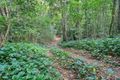 Property photo of 1 Stony Creek Road Eton QLD 4741