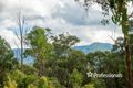 Property photo of 14 Hillcrest Drive McMahons Creek VIC 3799