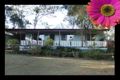 Property photo of 35 Luckie Crescent Tivoli QLD 4305