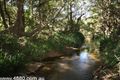 Property photo of 1129 Bilwon Road Biboohra QLD 4880