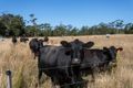 Property photo of 26 Oldina Road Wynyard TAS 7325