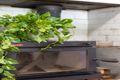 Property photo of 24 Bruce Road Warrawong NSW 2502