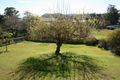 Property photo of 95 Brown Street Dungog NSW 2420