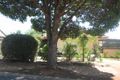 Property photo of 6 Newcombe Drive Gilles Plains SA 5086