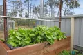 Property photo of LOT 25 Koala Drive Cypress Gardens QLD 4357