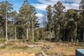 Property photo of 170 Lloyds Road Franklin TAS 7113