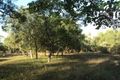 Property photo of 55 Lithgow Road Rum Jungle NT 0822