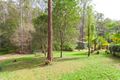 Property photo of 6 Tall Gums Drive Raleigh NSW 2454