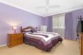 Property photo of 91 Windsor Road Padstow NSW 2211