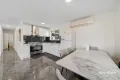 Property photo of 3 Anchusa Street Kingston QLD 4114
