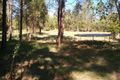 Property photo of 5 Palamino Court Conondale QLD 4552