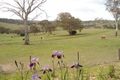 Property photo of LOT 101 Mitchell Highway The Rocks NSW 2795