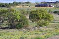 Property photo of 46 Stirling Place Waggrakine WA 6530