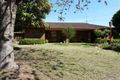 Property photo of 56 Hampden Street Finley NSW 2713