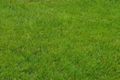 Property photo of 5A Russo Place Kilsyth VIC 3137