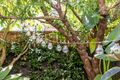 Property photo of 66 Hugo Street Redfern NSW 2016