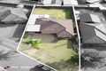 Property photo of 3 Romsley Road Jamisontown NSW 2750