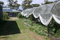 Property photo of 8 Blackwood Court Ansons Bay TAS 7264