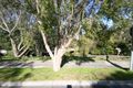 Property photo of 14 Wells Avenue Boronia VIC 3155