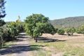 Property photo of 193 Marlborough-Sarina Road Sarina QLD 4737