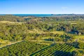 Property photo of 80 Midgen Flat Road Broken Head NSW 2481
