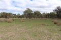 Property photo of 13110 Guyra Road Tingha NSW 2369