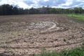 Property photo of LOT 14/250 Owens Scrub Road Leyburn QLD 4365