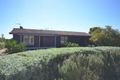 Property photo of 21 Symonds Street Pinnaroo SA 5304