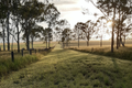 Property photo of 163 Koskies Road Mutdapilly QLD 4307