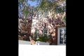 Property photo of 191 Chandos Street Crows Nest NSW 2065