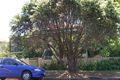 Property photo of 66 Caroline Street Allenstown QLD 4700