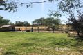 Property photo of 94 Pfingst Street Goondiwindi QLD 4390