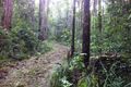 Property photo of 114 Webster Road Wondecla QLD 4887