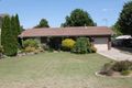 Property photo of 40 Nelson Street Raglan NSW 2795