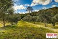 Property photo of 39 McLeod Road Mapleton QLD 4560