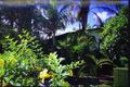 Property photo of 24 Boundary Street Redland Bay QLD 4165