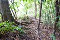Property photo of 88 Basil Road Nimbin NSW 2480