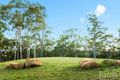 Property photo of 1358 Mount View Road Millfield NSW 2325