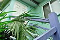 Property photo of 72 Smallman Street Bulimba QLD 4171