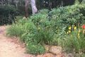 Property photo of 10 Prayer Hill Lane Blackwood VIC 3458