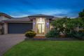 Property photo of 16 Chase Crescent North Lakes QLD 4509