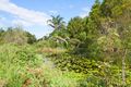 Property photo of 425 Wooyung Road Wooyung NSW 2483