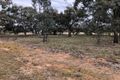 Property photo of 2208 Boort-Pyramid Road Durham Ox VIC 3576