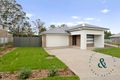 Property photo of 109 Macadamia Circuit Medowie NSW 2318